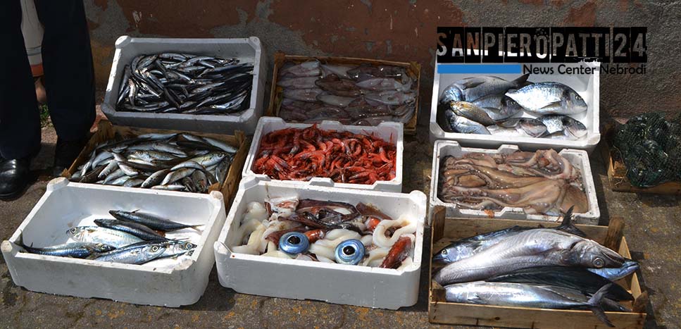 MILAZZO – Sequestrati circa 48 chili di pesce, accertato il cattivo stato di conservazione e la non idoneità al consumo umano
