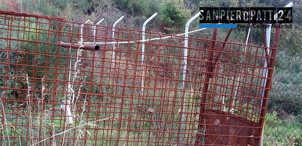 SAN PIERO PATTI – Sequestrata una gabbia a ghigliottina per la cattura dei cinghiali