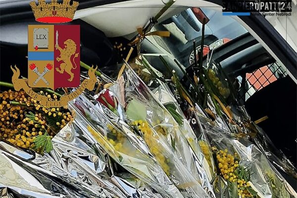 MESSINA – Anti-ambulantato abusivo. Sequestrati centinaia di bouquets di mimose.